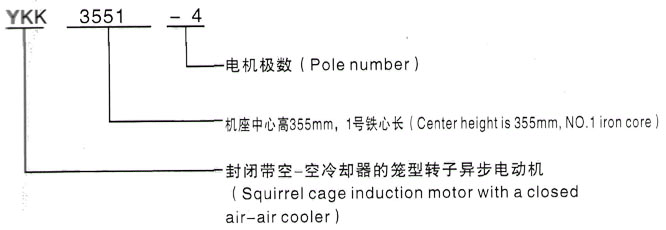 YKK系列(H355-1000)高压Y4506-10/250KW三相异步电机西安泰富西玛电机型号说明